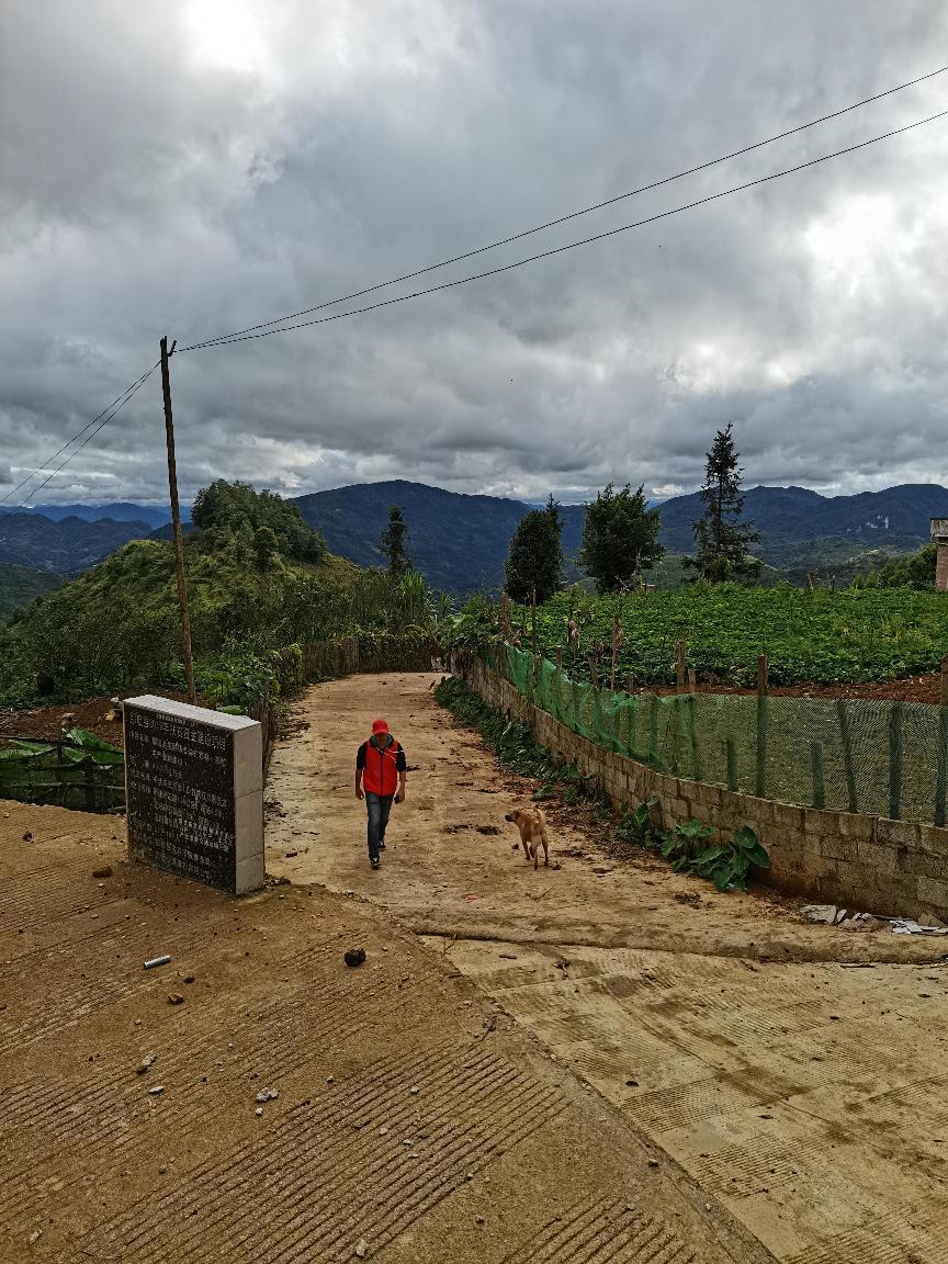 成人电影
-扶贫路上-陈宏